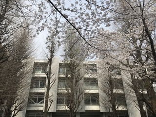 IMG_8246.jpg
